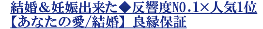 뺧ǥ褿ȿNO.1߿͵1̡ڤʤΰ/뺧ɱݾ